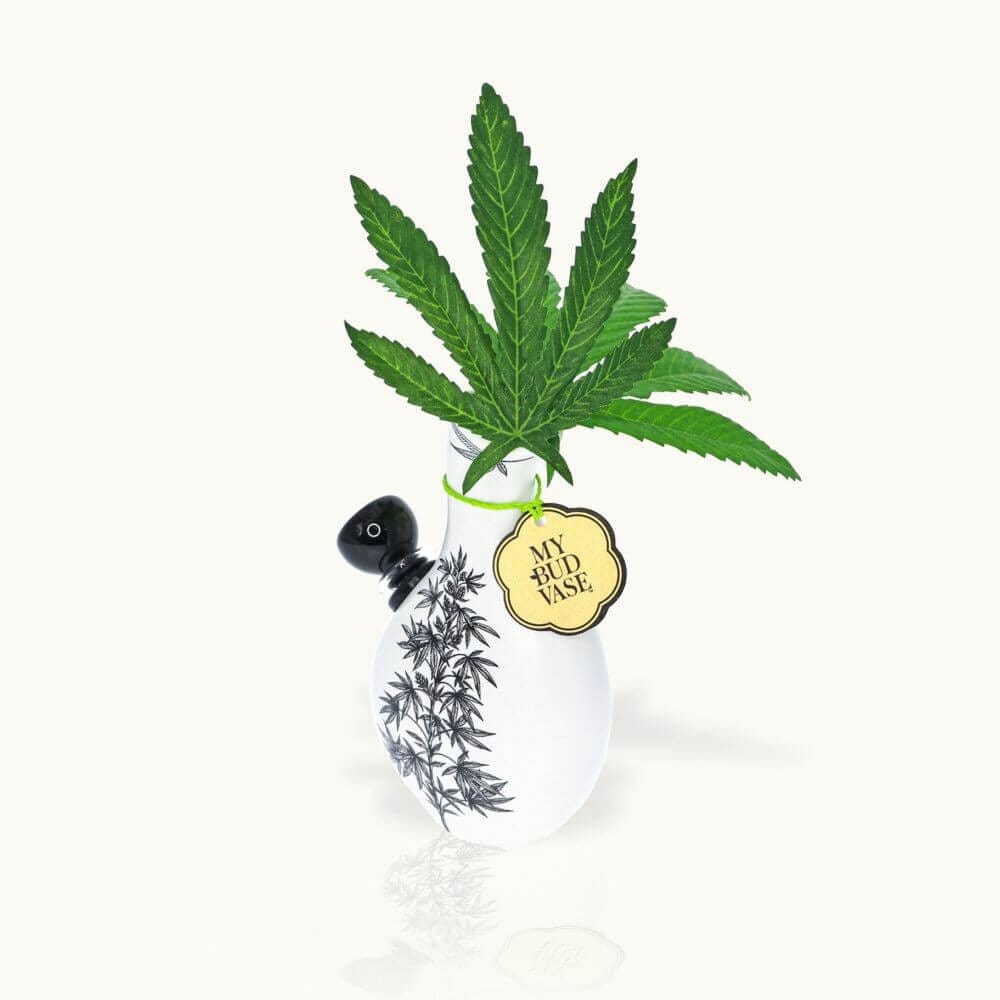 My Bud Vase Love Bud Water Pipe 01