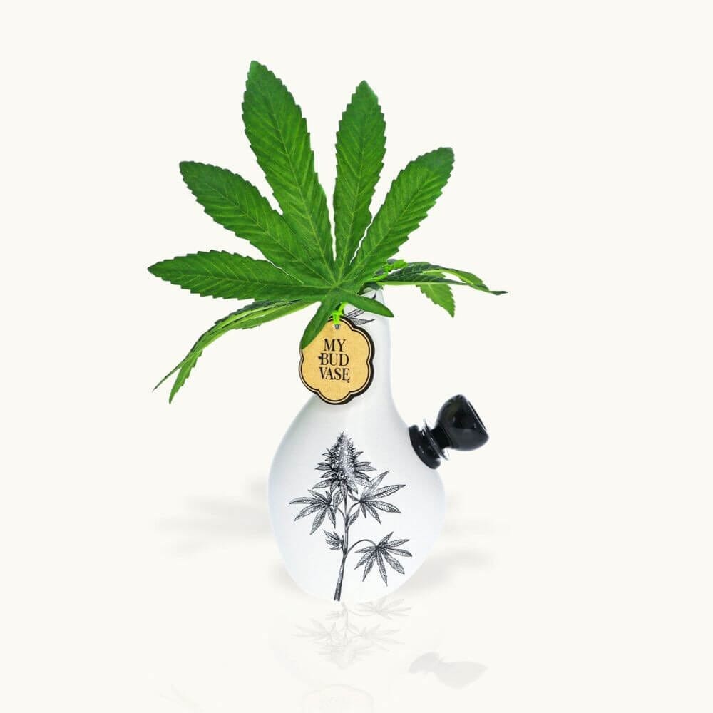 My Bud Vase Love Bud Water Pipe 04