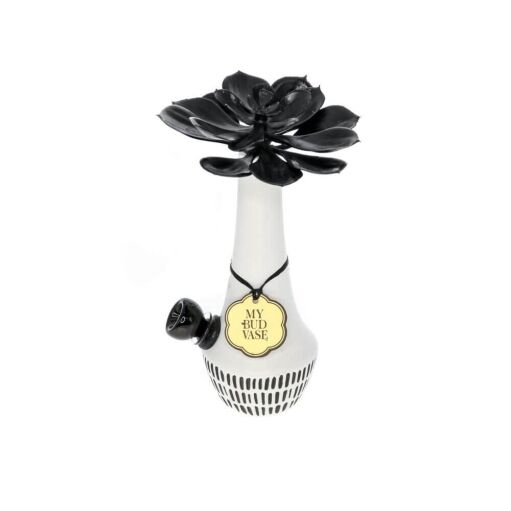 My Bud Vase Zuzu Water Pipe - Glossy 02