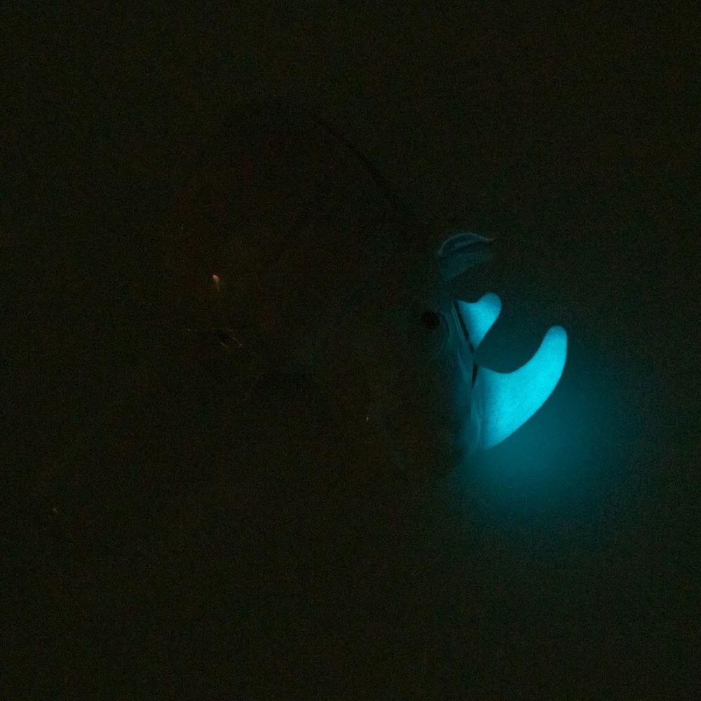 Empire Glassworks 14mm White Rhino Bowl - 06