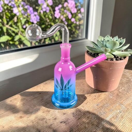 Glass Dome Oil Burner Rig - 02
